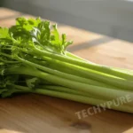 Understanding-Iasweshoz1