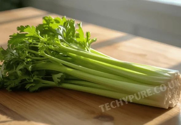 Understanding-Iasweshoz1